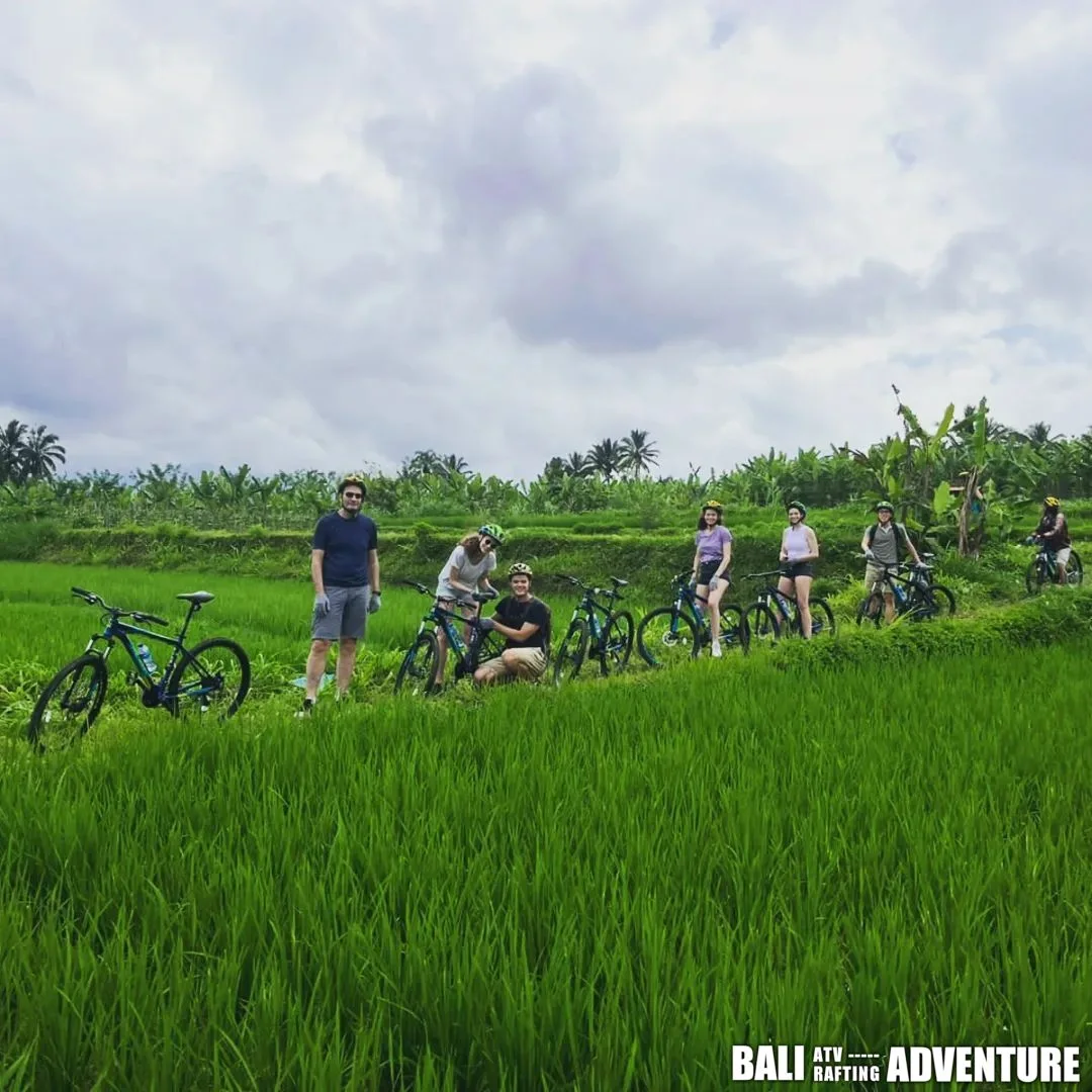 cycling bike tour ubud