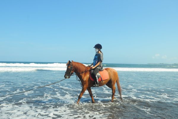 baliatvraftingadventure-horse-riding-3