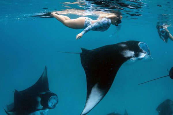 baliatvraftingadventure-manta-nusa-penida 2